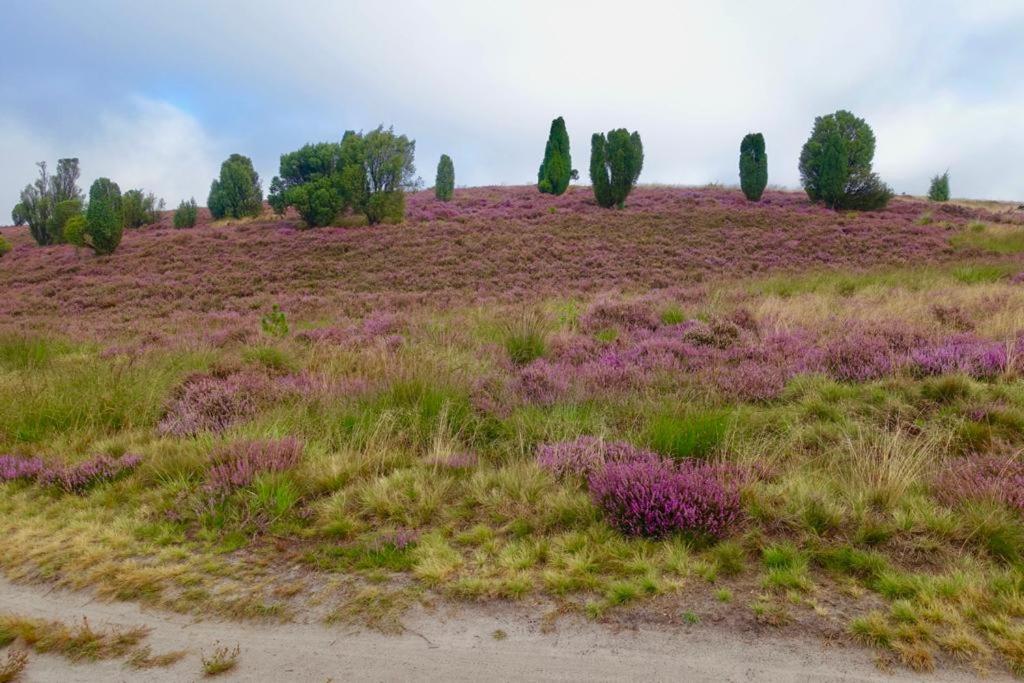 Minna Von Fintel Schneverdingen Buitenkant foto